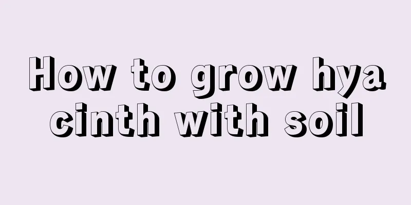 How to grow hyacinth with soil