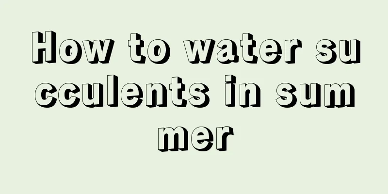 How to water succulents in summer