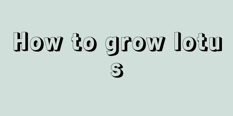 How to grow lotus