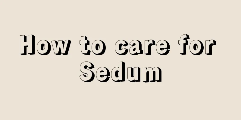 How to care for Sedum