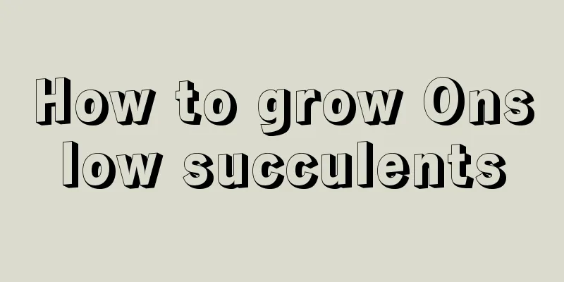 How to grow Onslow succulents