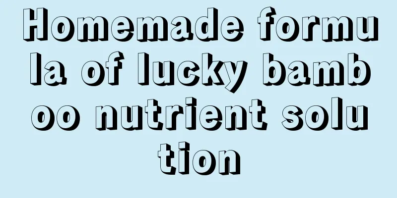 Homemade formula of lucky bamboo nutrient solution