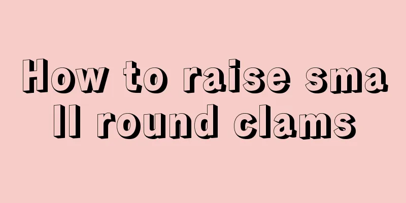 How to raise small round clams