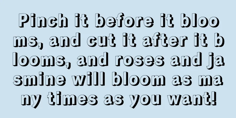 Pinch it before it blooms, and cut it after it blooms, and roses and jasmine will bloom as many times as you want!