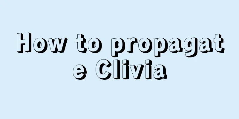 How to propagate Clivia