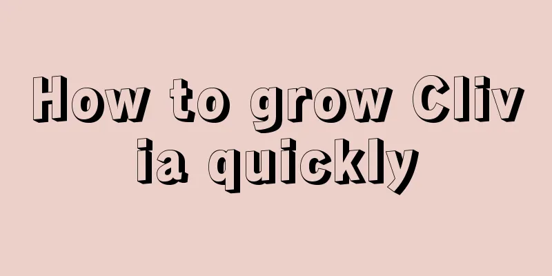 How to grow Clivia quickly