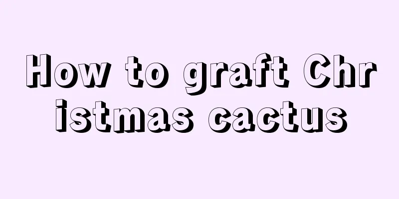 How to graft Christmas cactus