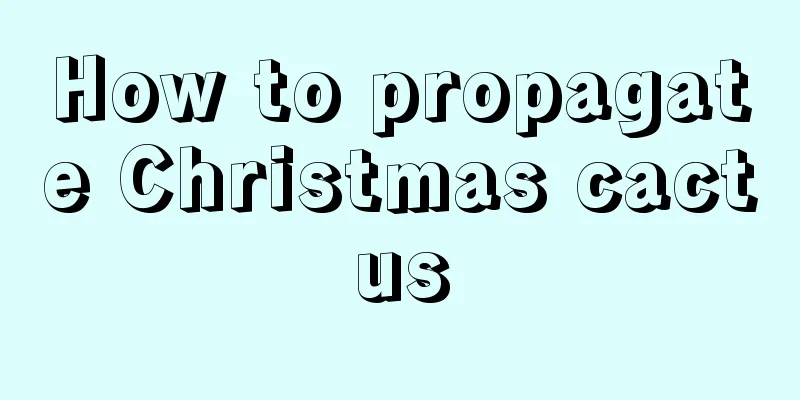 How to propagate Christmas cactus