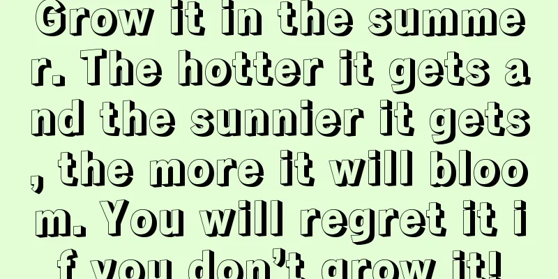 Grow it in the summer. The hotter it gets and the sunnier it gets, the more it will bloom. You will regret it if you don’t grow it!