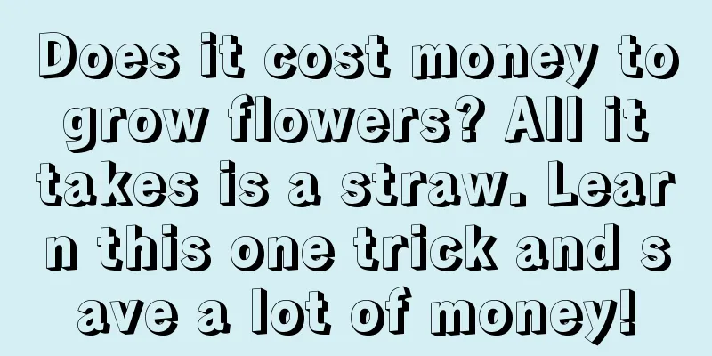 Does it cost money to grow flowers? All it takes is a straw. Learn this one trick and save a lot of money!