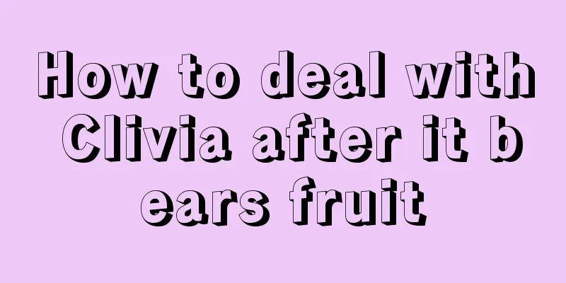 How to deal with Clivia after it bears fruit