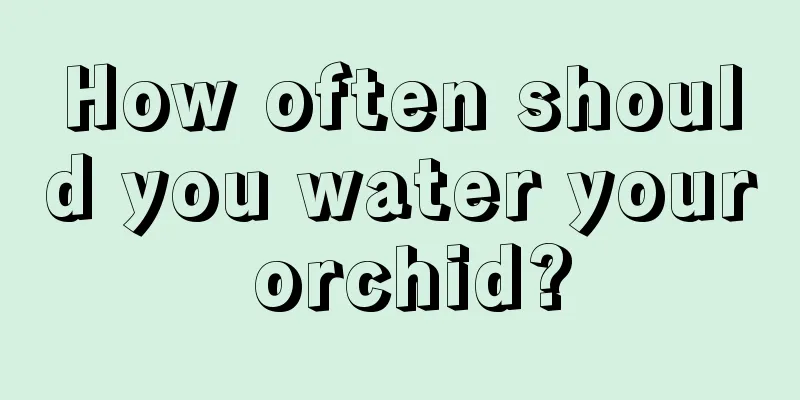 How often should you water your orchid?