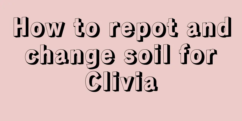 How to repot and change soil for Clivia