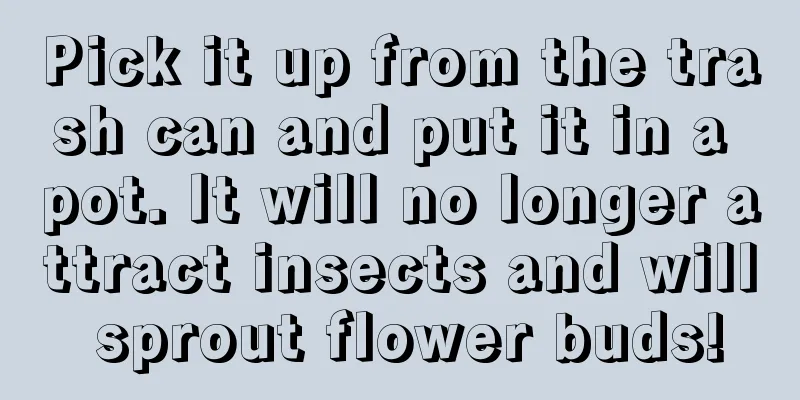 Pick it up from the trash can and put it in a pot. It will no longer attract insects and will sprout flower buds!