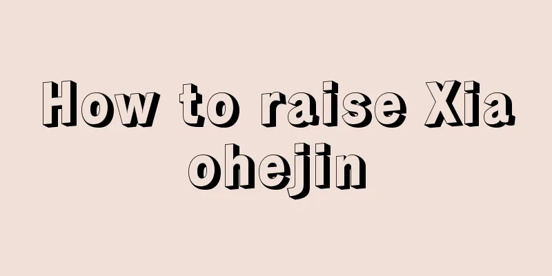 How to raise Xiaohejin