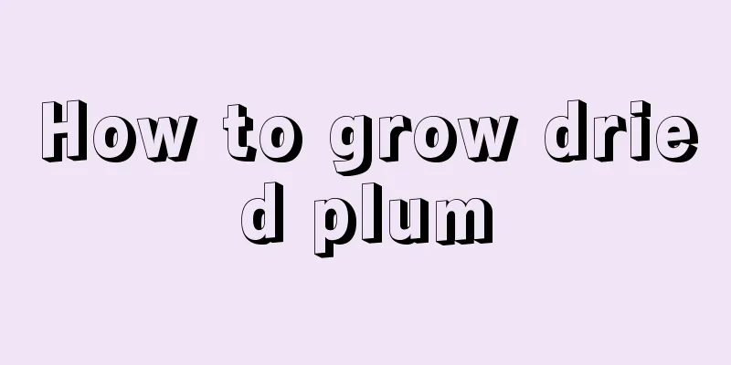 How to grow dried plum