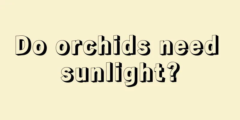 Do orchids need sunlight?