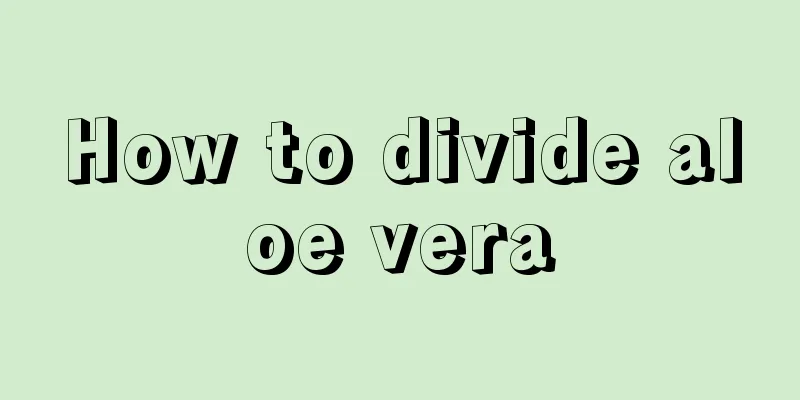 How to divide aloe vera