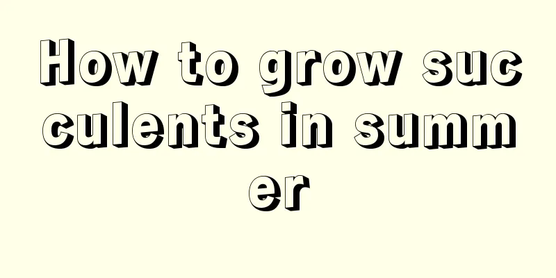 How to grow succulents in summer