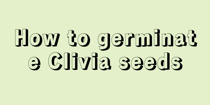 How to germinate Clivia seeds