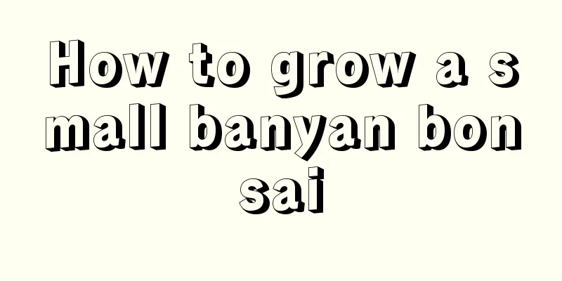 How to grow a small banyan bonsai