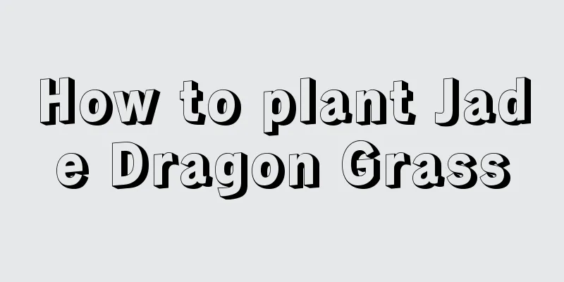 How to plant Jade Dragon Grass