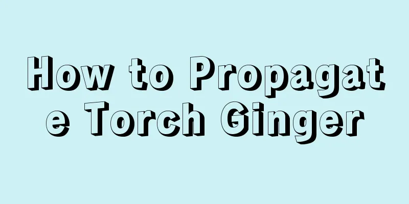 How to Propagate Torch Ginger