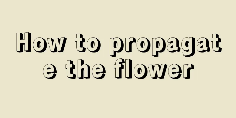 How to propagate the flower