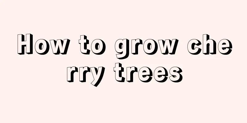 How to grow cherry trees