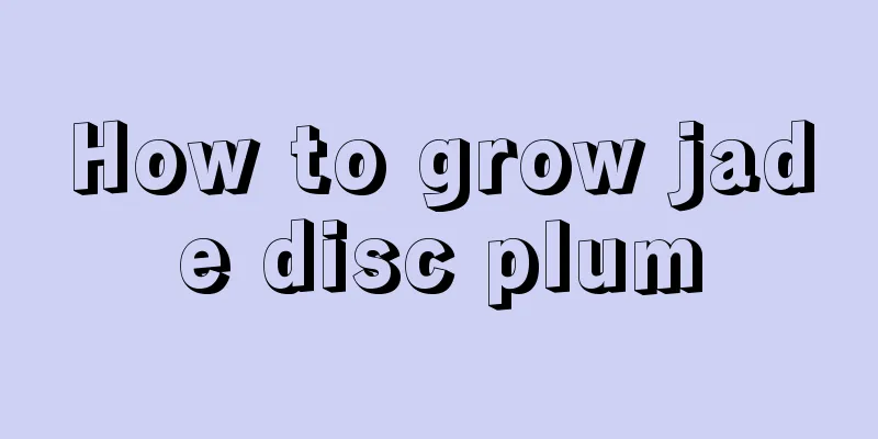 How to grow jade disc plum