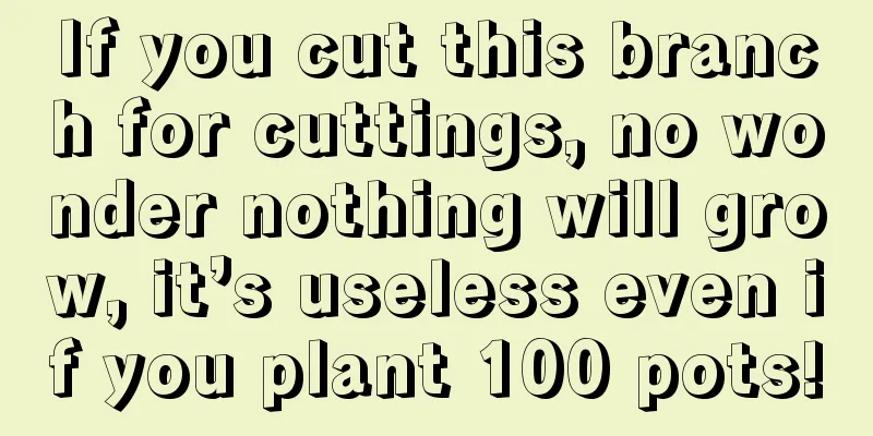 If you cut this branch for cuttings, no wonder nothing will grow, it’s useless even if you plant 100 pots!