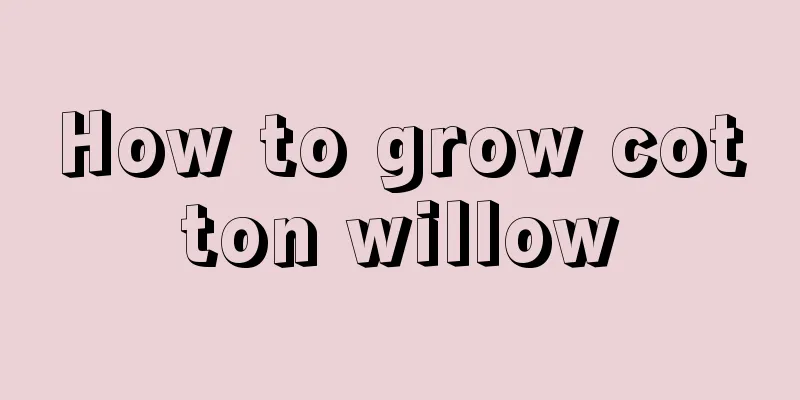 How to grow cotton willow