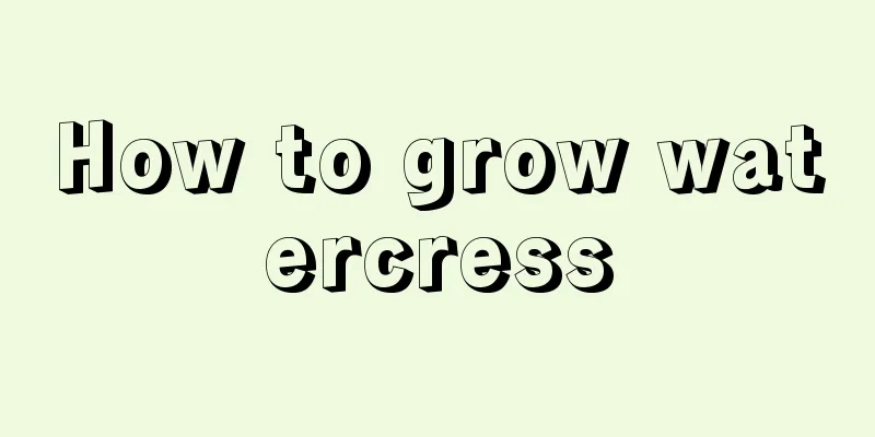 How to grow watercress