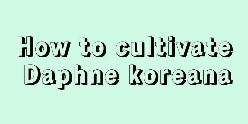 How to cultivate Daphne koreana