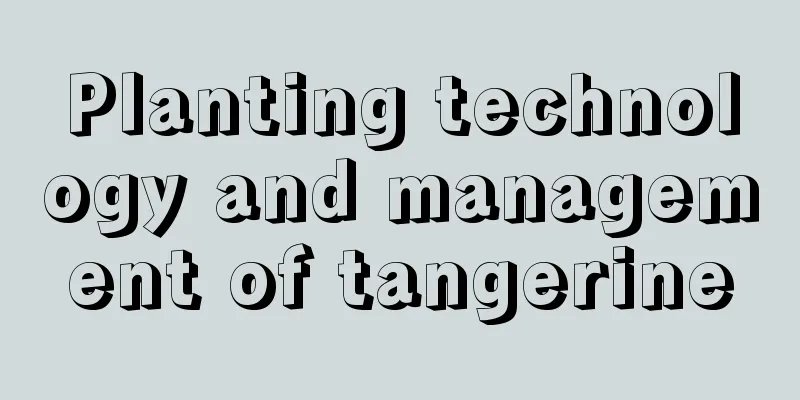 Planting technology and management of tangerine