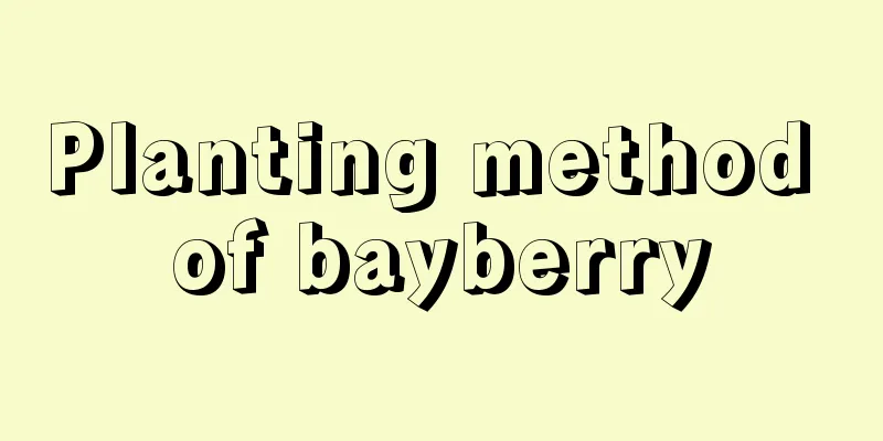 Planting method of bayberry