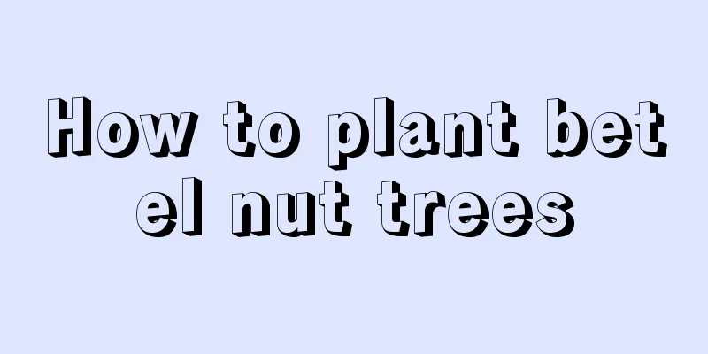 How to plant betel nut trees