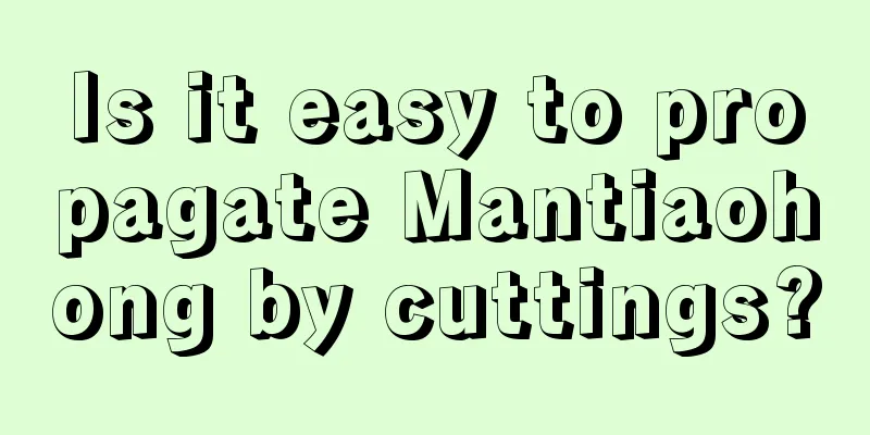 Is it easy to propagate Mantiaohong by cuttings?