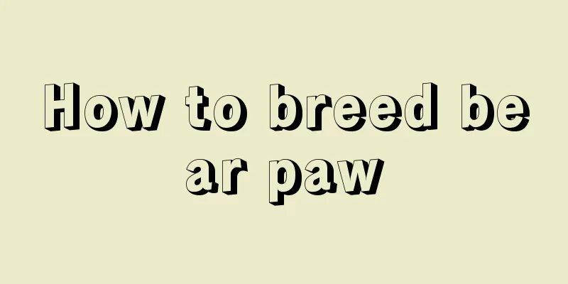 How to breed bear paw