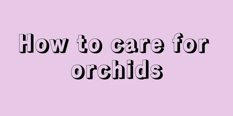 How to care for orchids