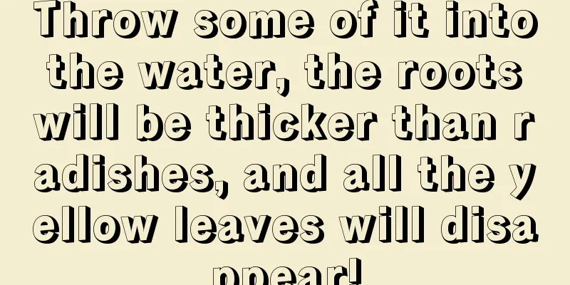 Throw some of it into the water, the roots will be thicker than radishes, and all the yellow leaves will disappear!