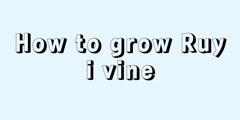 How to grow Ruyi vine