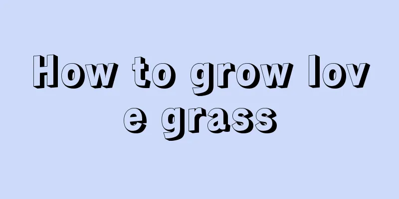 How to grow love grass