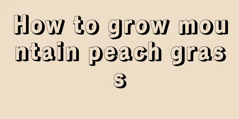 How to grow mountain peach grass