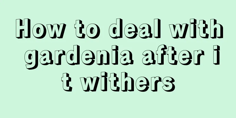 How to deal with gardenia after it withers