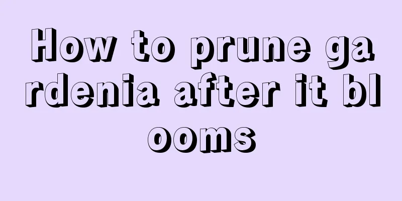 How to prune gardenia after it blooms