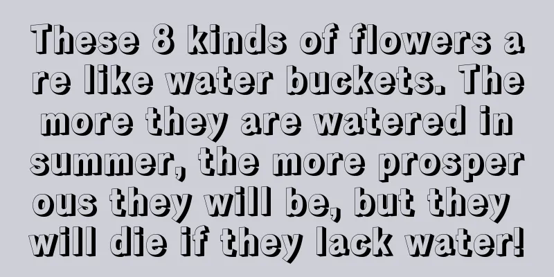 These 8 kinds of flowers are like water buckets. The more they are watered in summer, the more prosperous they will be, but they will die if they lack water!