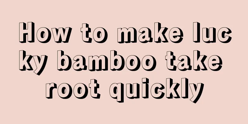 How to make lucky bamboo take root quickly