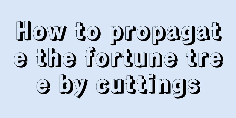 How to propagate the fortune tree by cuttings