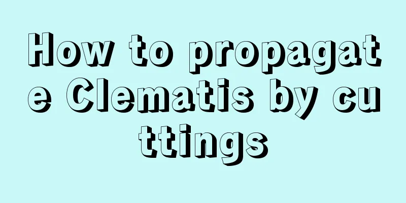 How to propagate Clematis by cuttings